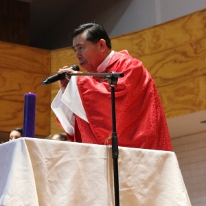 Celebración de Ramos